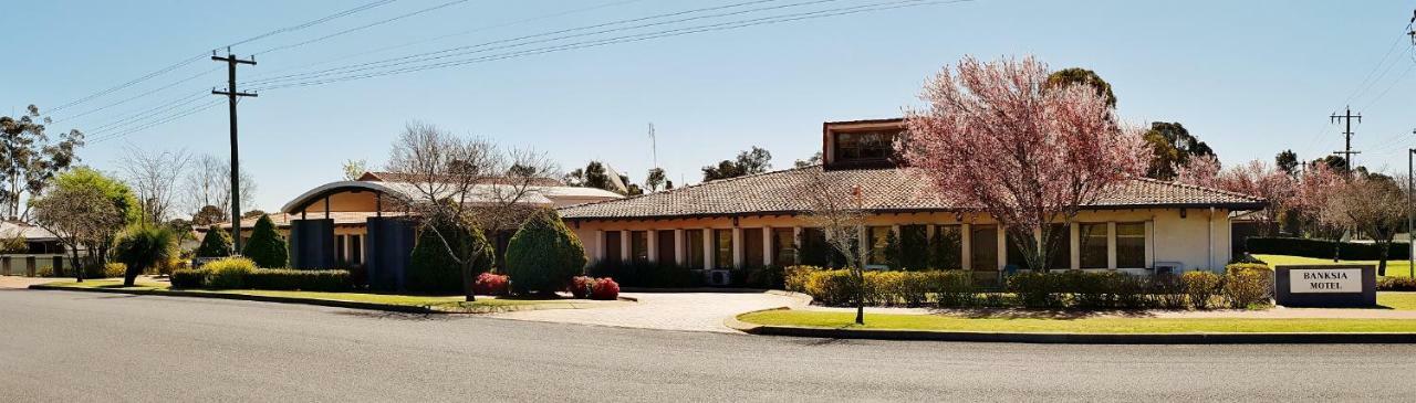 Banksia Motel Collie Exterior photo