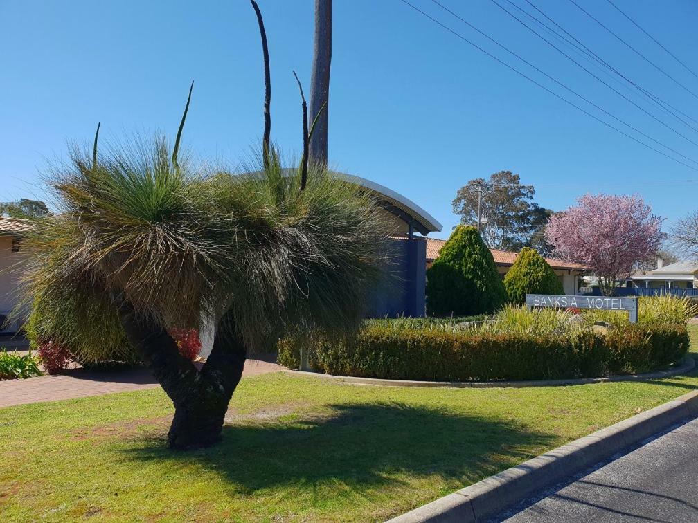 Banksia Motel Collie Exterior photo